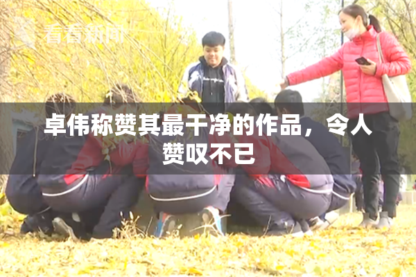 卓伟称赞其最干净的作品，令人赞叹不已