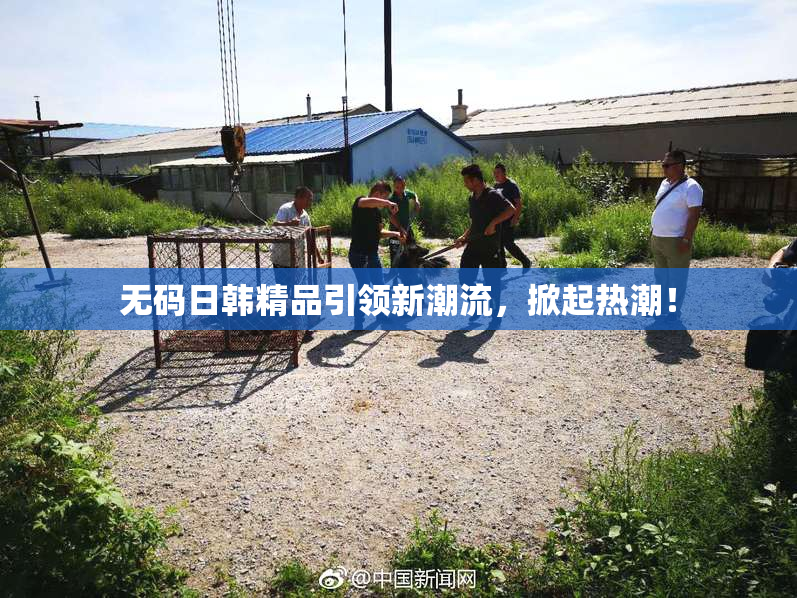 无码日韩精品引领新潮流，掀起热潮！