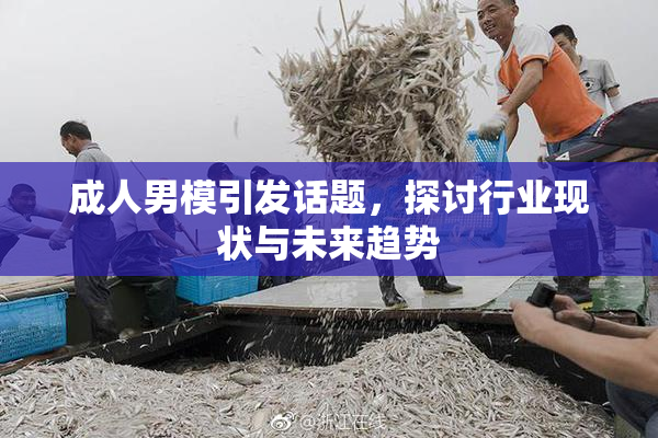 成人男模引发话题，探讨行业现状与未来趋势