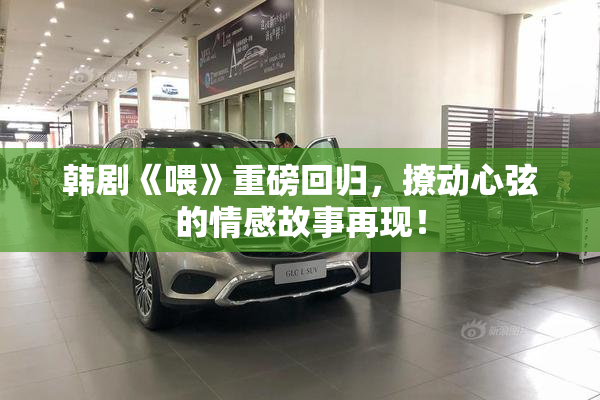 韩剧《喂》重磅回归，撩动心弦的情感故事再现！