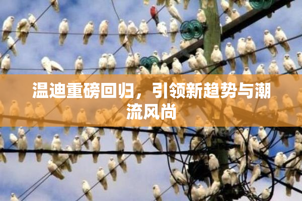 温迪重磅回归，引领新趋势与潮流风尚