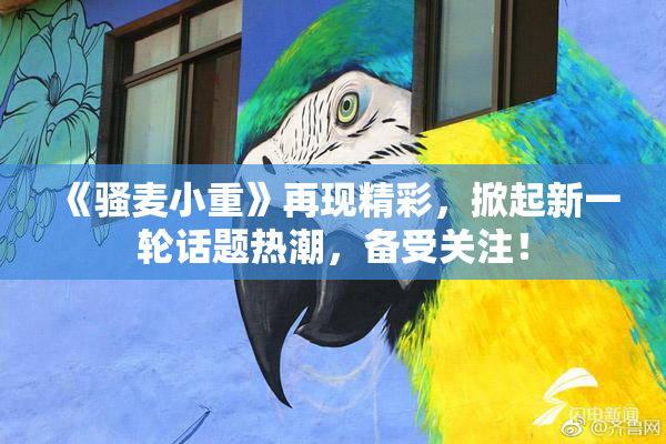 《骚麦小重》再现精彩，掀起新一轮话题热潮，备受关注！