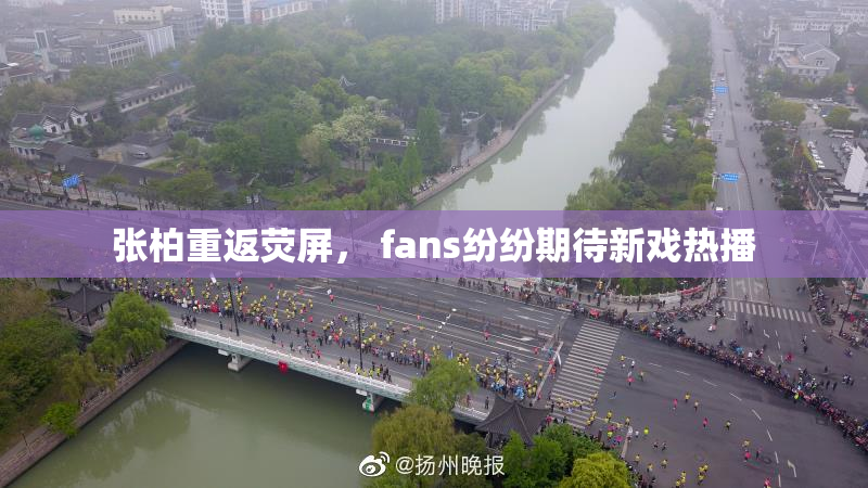 张柏重返荧屏， fans纷纷期待新戏热播