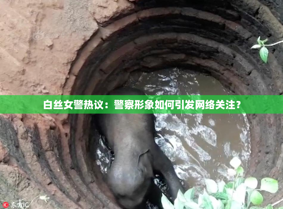 白丝女警热议：警察形象如何引发网络关注？