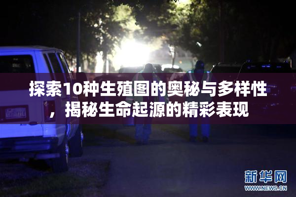 探索10种生殖图的奥秘与多样性，揭秘生命起源的精彩表现