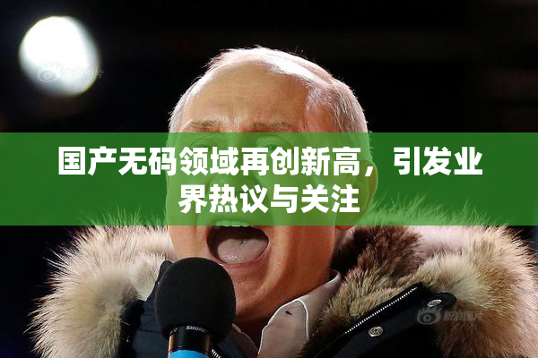 国产无码领域再创新高，引发业界热议与关注