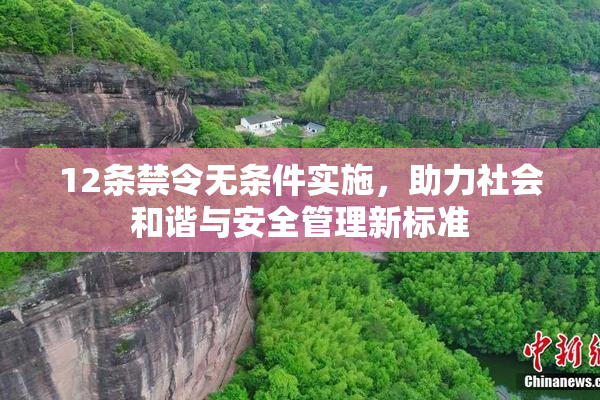 12条禁令无条件实施，助力社会和谐与安全管理新标准
