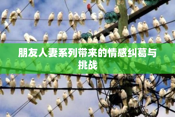 朋友人妻系列带来的情感纠葛与挑战