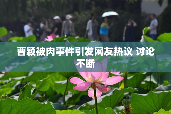曹颖被肉事件引发网友热议 讨论不断