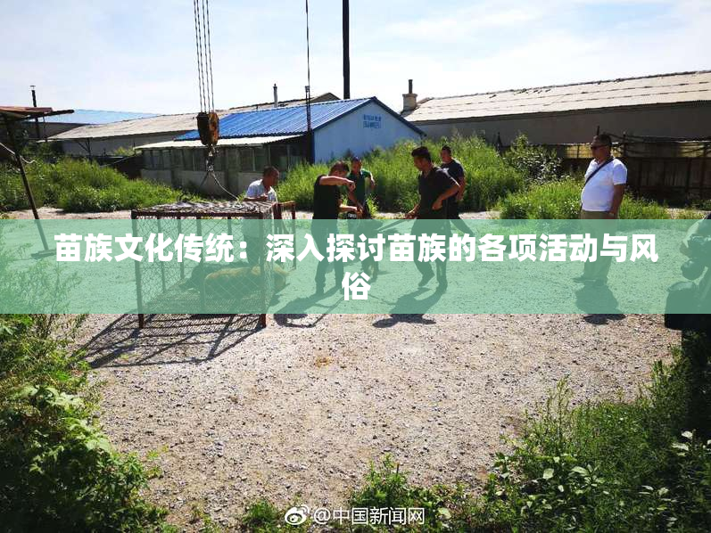 苗族文化传统：深入探讨苗族的各项活动与风俗