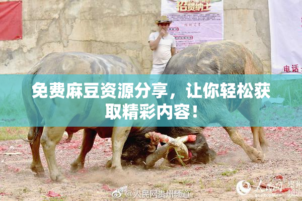 免费麻豆资源分享，让你轻松获取精彩内容！