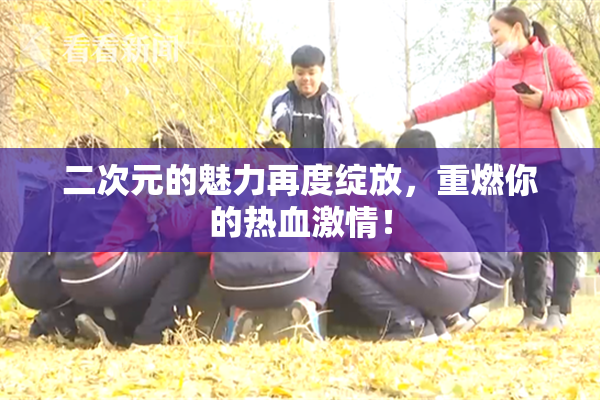 二次元的魅力再度绽放，重燃你的热血激情！