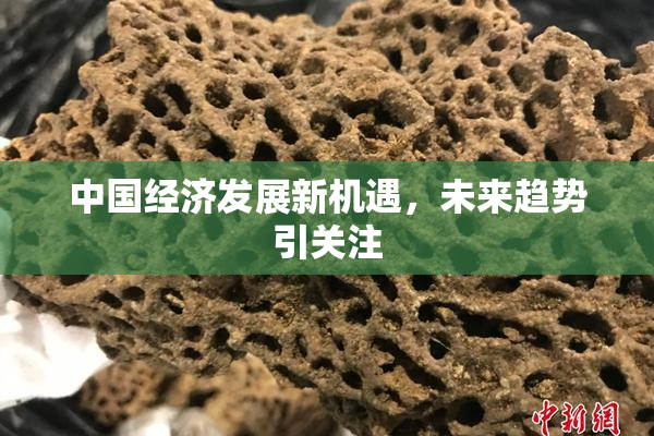 中国经济发展新机遇，未来趋势引关注
