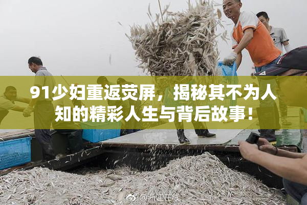 91少妇重返荧屏，揭秘其不为人知的精彩人生与背后故事！