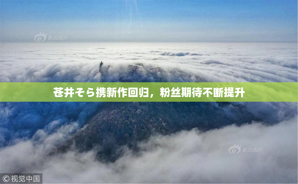 苍井そら携新作回归，粉丝期待不断提升