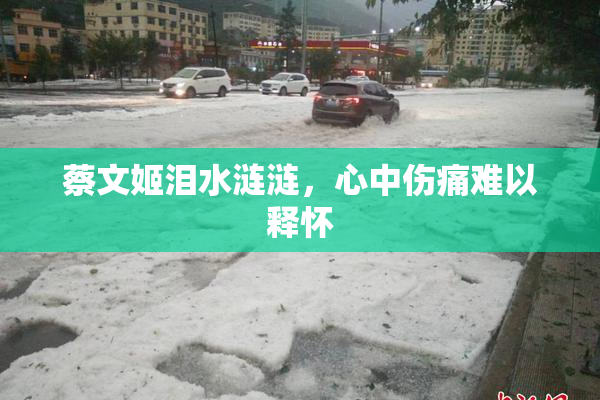 蔡文姬泪水涟涟，心中伤痛难以释怀