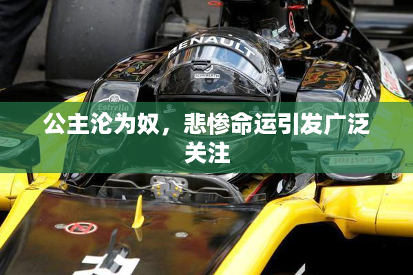 公主沦为奴，悲惨命运引发广泛关注