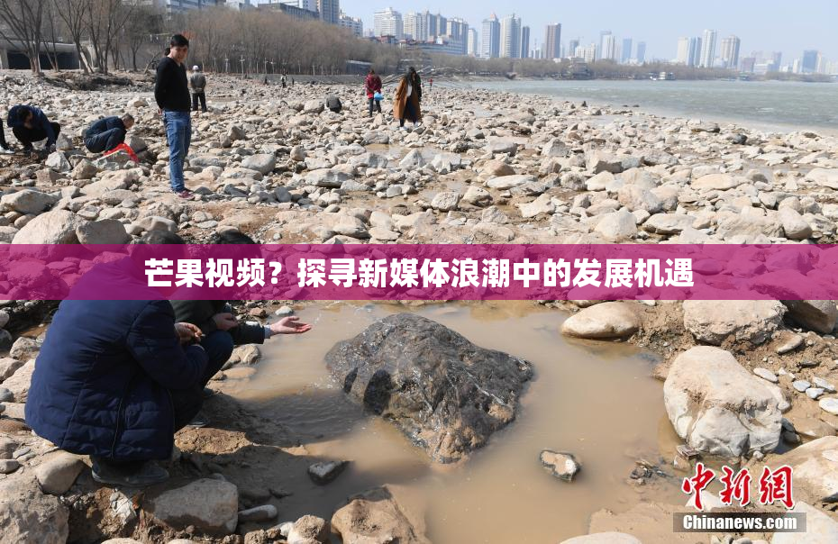 芒果视频？探寻新媒体浪潮中的发展机遇