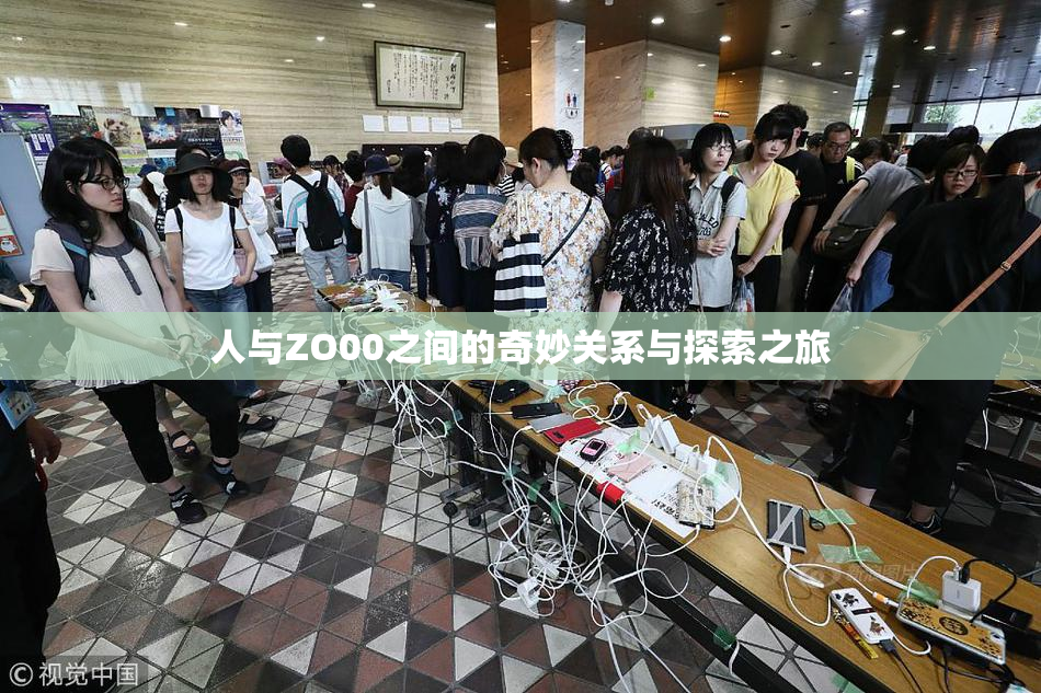 人与ZO00之间的奇妙关系与探索之旅