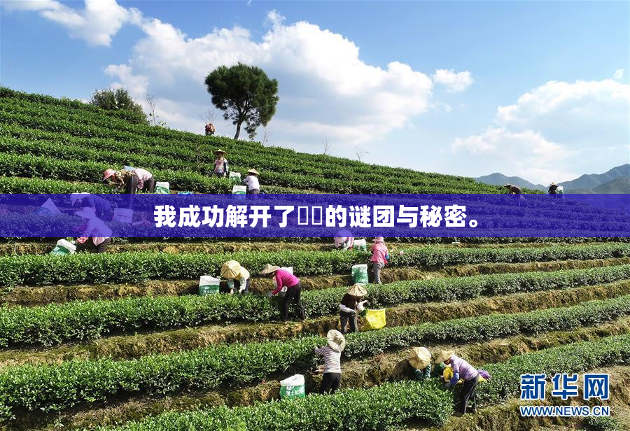 我成功解开了妺妺的谜团与秘密。