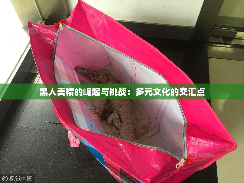 黑人美精的崛起与挑战：多元文化的交汇点