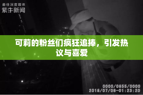 可莉的粉丝们疯狂追捧，引发热议与喜爱