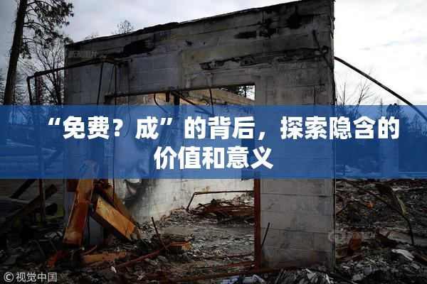 “免费？成”的背后，探索隐含的价值和意义