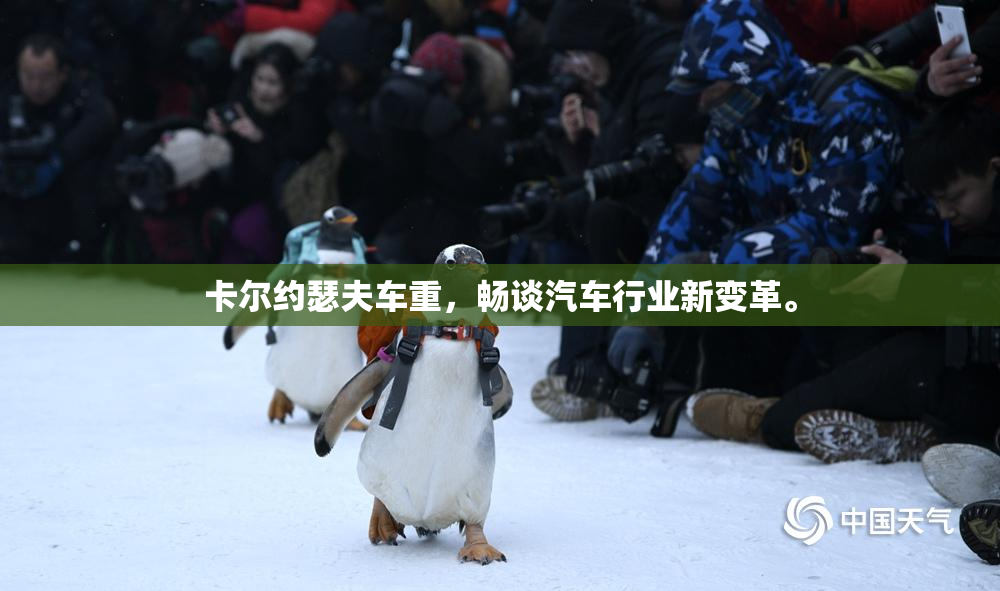 卡尔约瑟夫车重，畅谈汽车行业新变革。