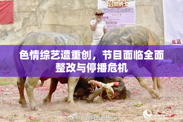 色情综艺遭重创，节目面临全面整改与停播危机