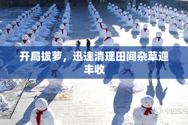 开局拔萝，迅速清理田间杂草迎丰收
