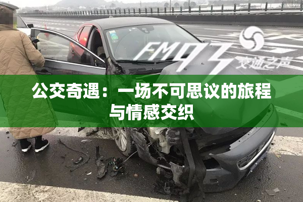 公交奇遇：一场不可思议的旅程与情感交织