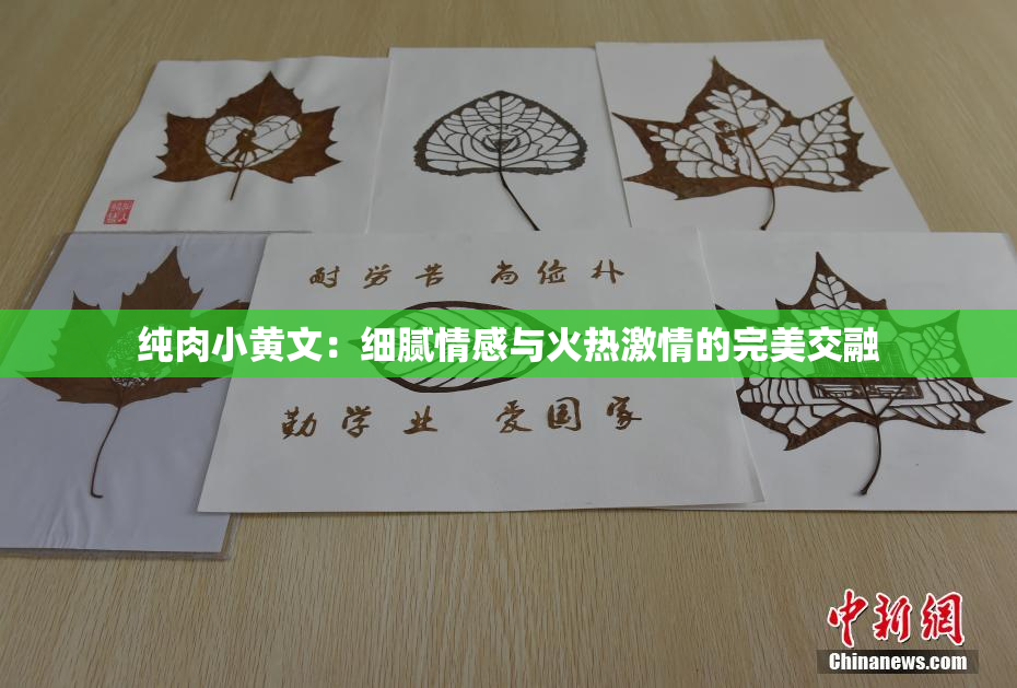 纯肉小黄文：细腻情感与火热激情的完美交融