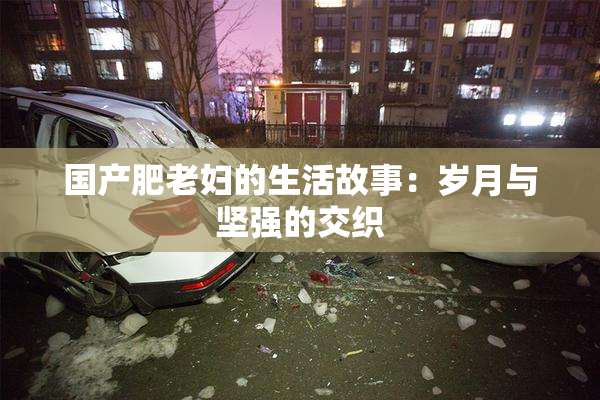 国产肥老妇的生活故事：岁月与坚强的交织