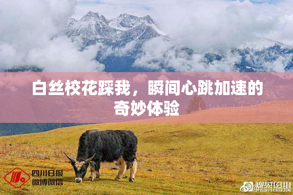 白丝校花踩我，瞬间心跳加速的奇妙体验