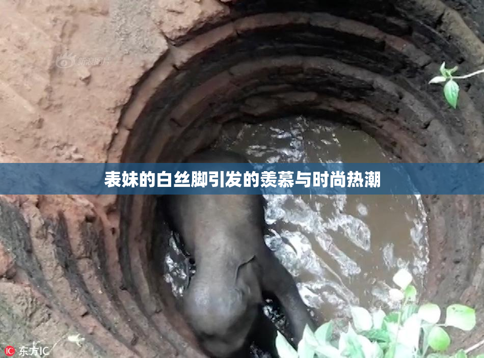表妹的白丝脚引发的羡慕与时尚热潮