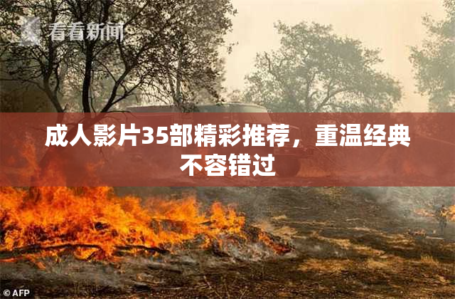 成人影片35部精彩推荐，重温经典不容错过