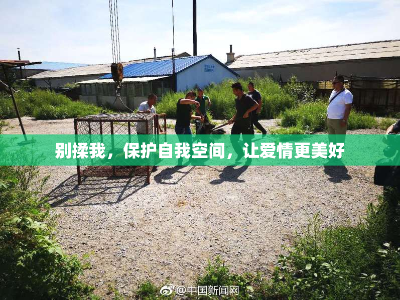 别揉我，保护自我空间，让爱情更美好