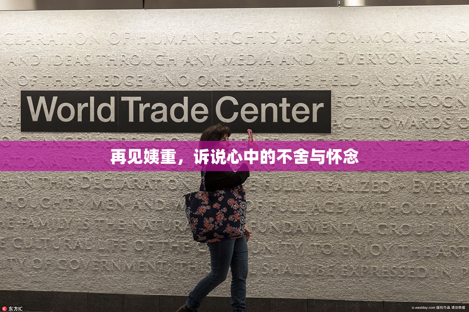 再见姨重，诉说心中的不舍与怀念