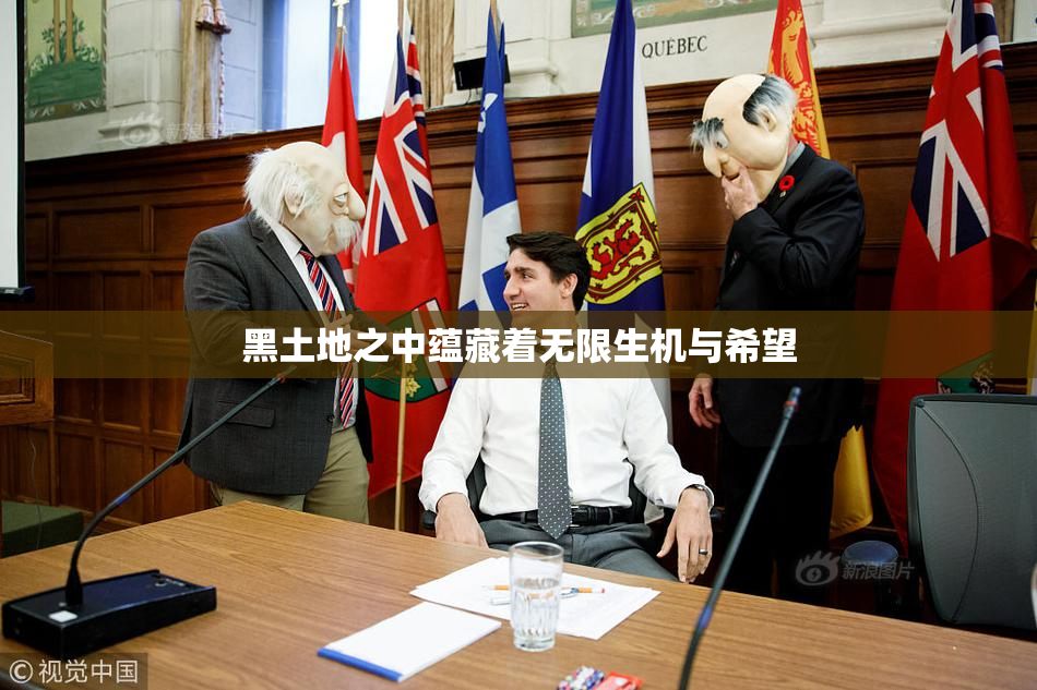 黑土地之中蕴藏着无限生机与希望