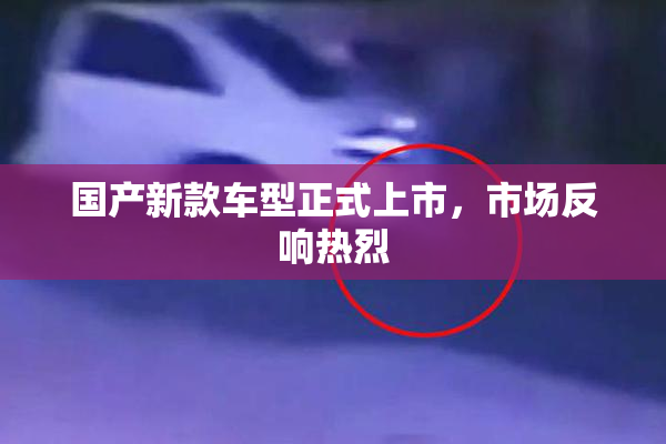 国产新款车型正式上市，市场反响热烈