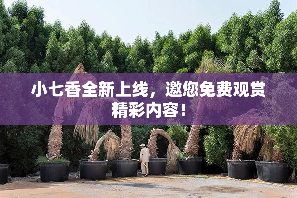 小七香全新上线，邀您免费观赏精彩内容！
