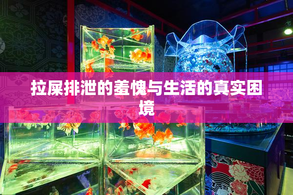 拉屎排泄的羞愧与生活的真实困境