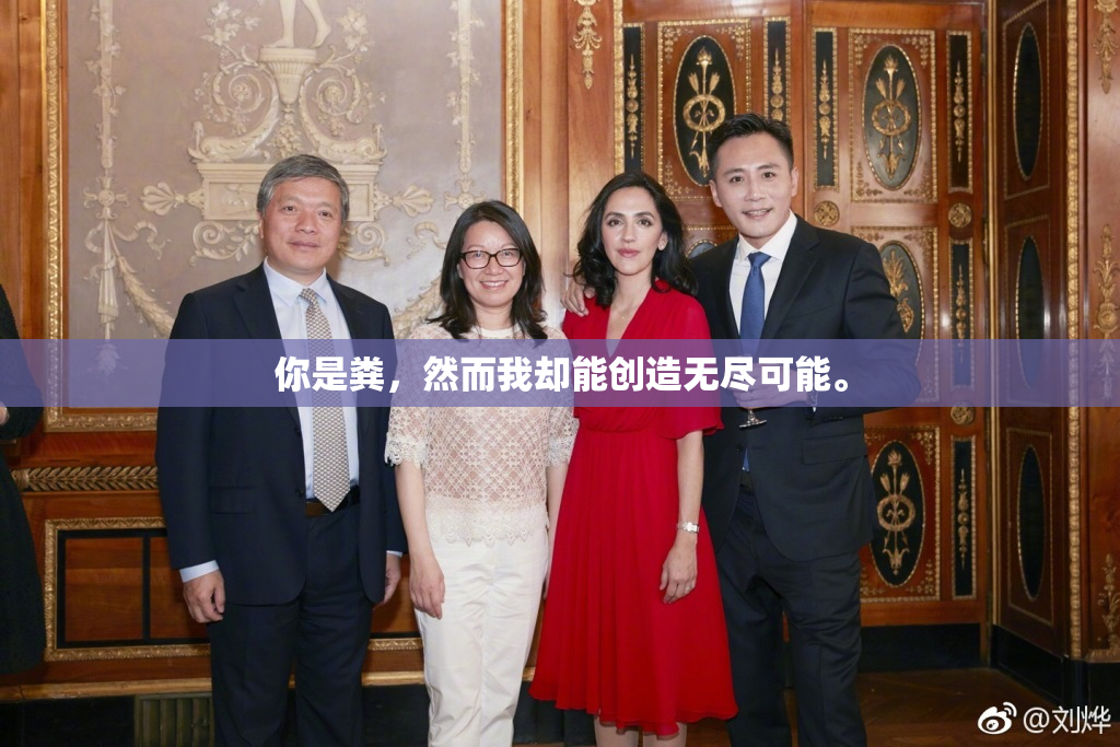 你是粪，然而我却能创造无尽可能。