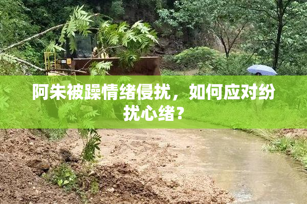 阿朱被躁情绪侵扰，如何应对纷扰心绪？