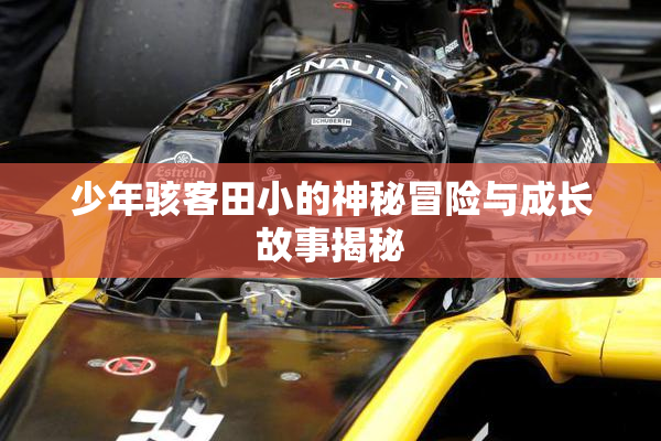 少年骇客田小的神秘冒险与成长故事揭秘