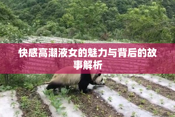 快感高潮液女的魅力与背后的故事解析