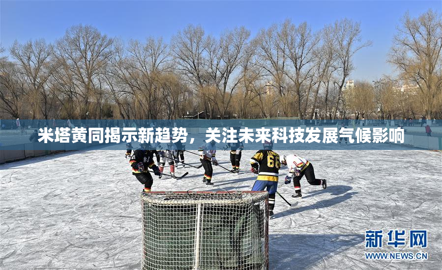 米塔黄同揭示新趋势，关注未来科技发展气候影响