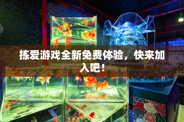 拣爱游戏全新免费体验，快来加入吧！