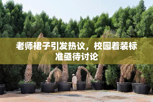 老师裙子引发热议，校园着装标准亟待讨论