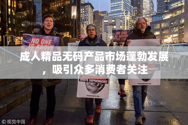 成人精品无码产品市场蓬勃发展，吸引众多消费者关注
